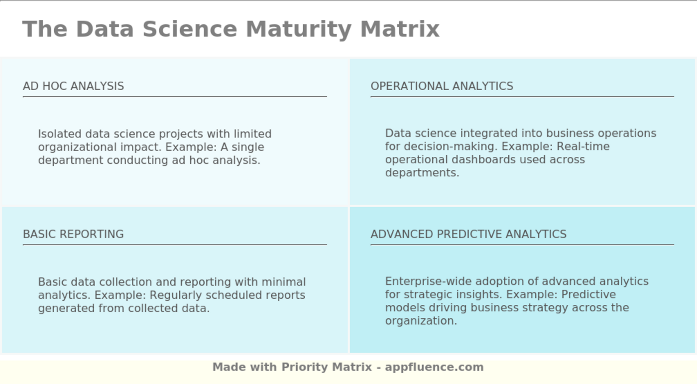 Data Science Maturity Matrix template